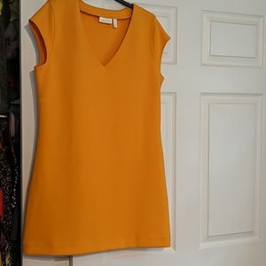Sheeth mini dress